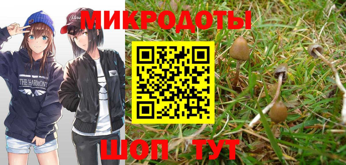 Псилоцибиновые грибы Magic Shrooms  Вход с VPN  Южно-Сахалинск  Галлюциногенные грибы GOLDEN TEACHER 